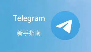 在哪里可以找到Telegram下载的视频